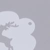 Трафареты для аквагрима Профессиональные трафареты для боди-арта Многоразовые для взрослых и детей Легко использовать шаблоны для вечеринок Инструменты для макияжа