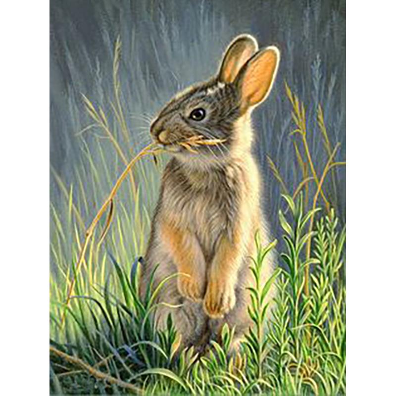 Кролик DIY 5D алмазная живопись полная круглая дрель животное Алмазная вышивка мозаика фермерский дом ручная работа настенное искусство домашний декор подарок