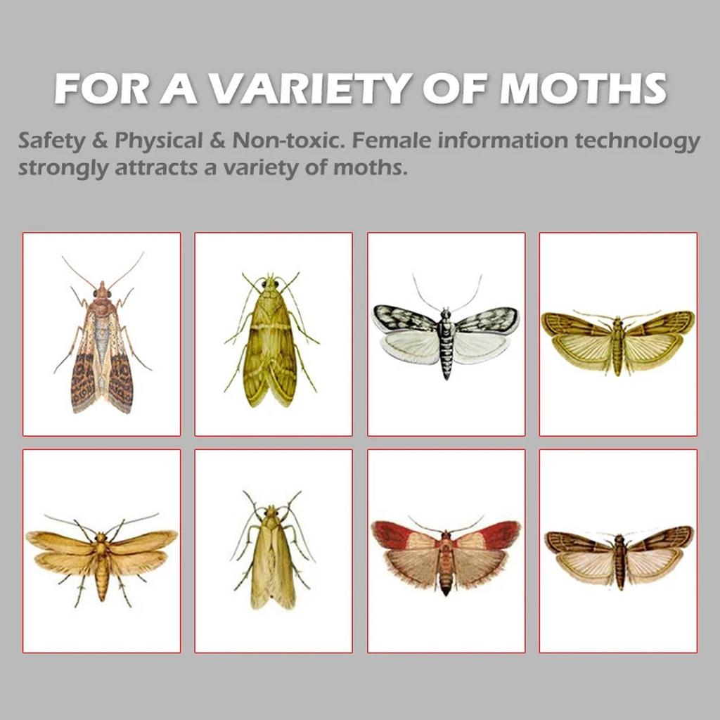 Ловушки для пищевой моли Безопасные и эффективные для продуктов питания и одежды - Клеевые ловушки с феромонами для шкафа с шерстью, ковра, продуктов питания и кухонного шкафа