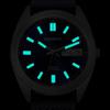 BERNY Titanium Watch Men's Watch Men's Watch Japanese Quartz Movement Titanium Analog Quartz Watch 10ATM Water Resistant Super Luminous