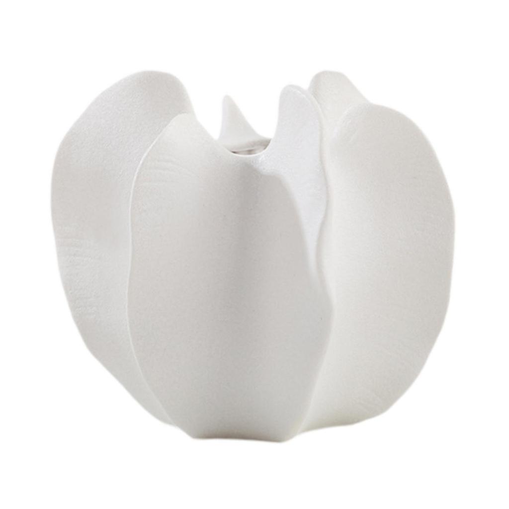 Ваза для цветов карамболы Простой настольный центральный элемент Современная ваза Настольное украшение для гостиной ТВ-тумбы Офисного входа Спальни