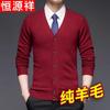 Hengyuanxiang Men's Pure Wool V-Neck Cardigan Sweater