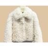Lamb Wool Imitation Fur Jacket Autumn and Winter Fashion Warm Short Wool Sweater Casual Socialite Small