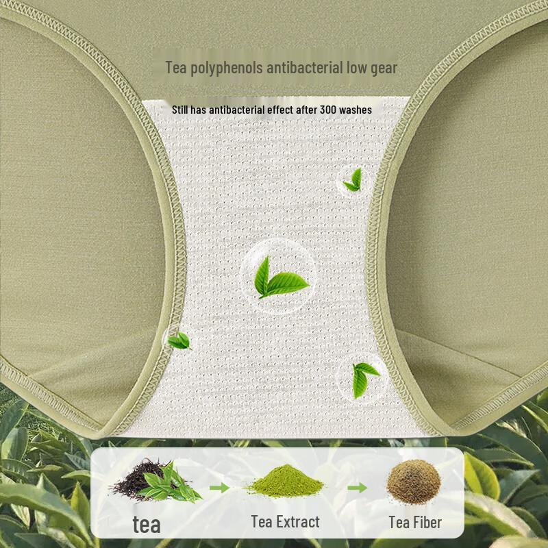 YOUNGYELL Women's High-Waist Modal Antibacterial Underwear 3-Pack