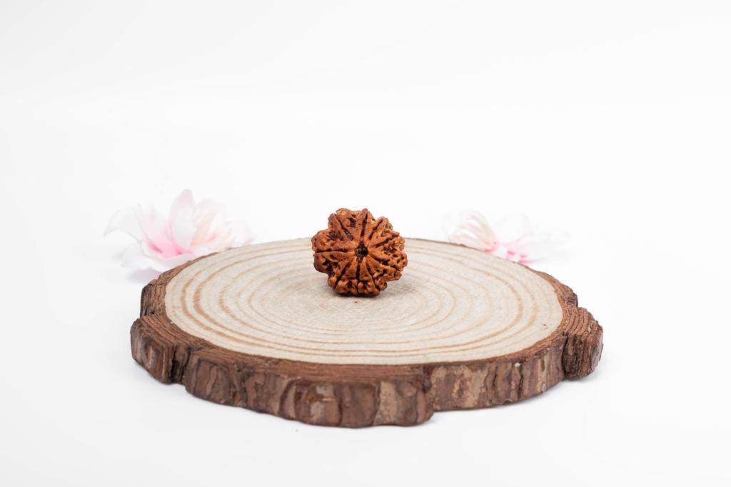 Натуральная 9-мукхи рудракша – Непальское происхождение | Мощная бусина для благословений Дурги, устранения страха, жизненной силы и энергетической защиты | Органическая и сертифицированная лабораторией