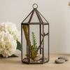 Glass Terrarium Lantern Shape