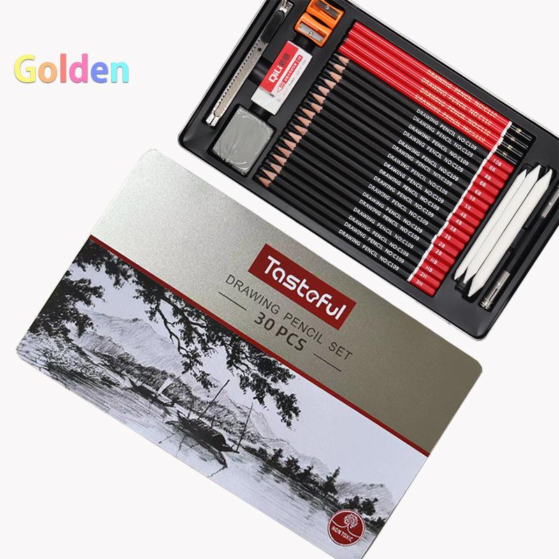 30-Piece Sketching Set in Metal Box - HB & 2B Pencils, Charcoal Pencils, and Drawing Supplies for Students and Artists