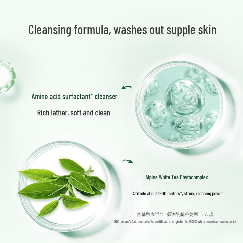DR PLANT Высокогорный белый чай Аминокислотная очищающая пенка