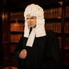 Curly Hairpiece Baroque Judges Wig Fancy Dress Nobles Cosplay Wig Judge'S Hat Prop  for Role-Play