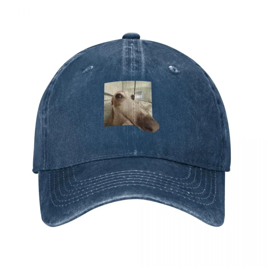 Funny Dog Baseball Cap hats on offer New In Hat Winter hat designer cap For Women  Unisexs