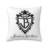Jonas Brothers Pillow Case Cushion Covers Funny Polyester Decorative Pillowcover for Home x