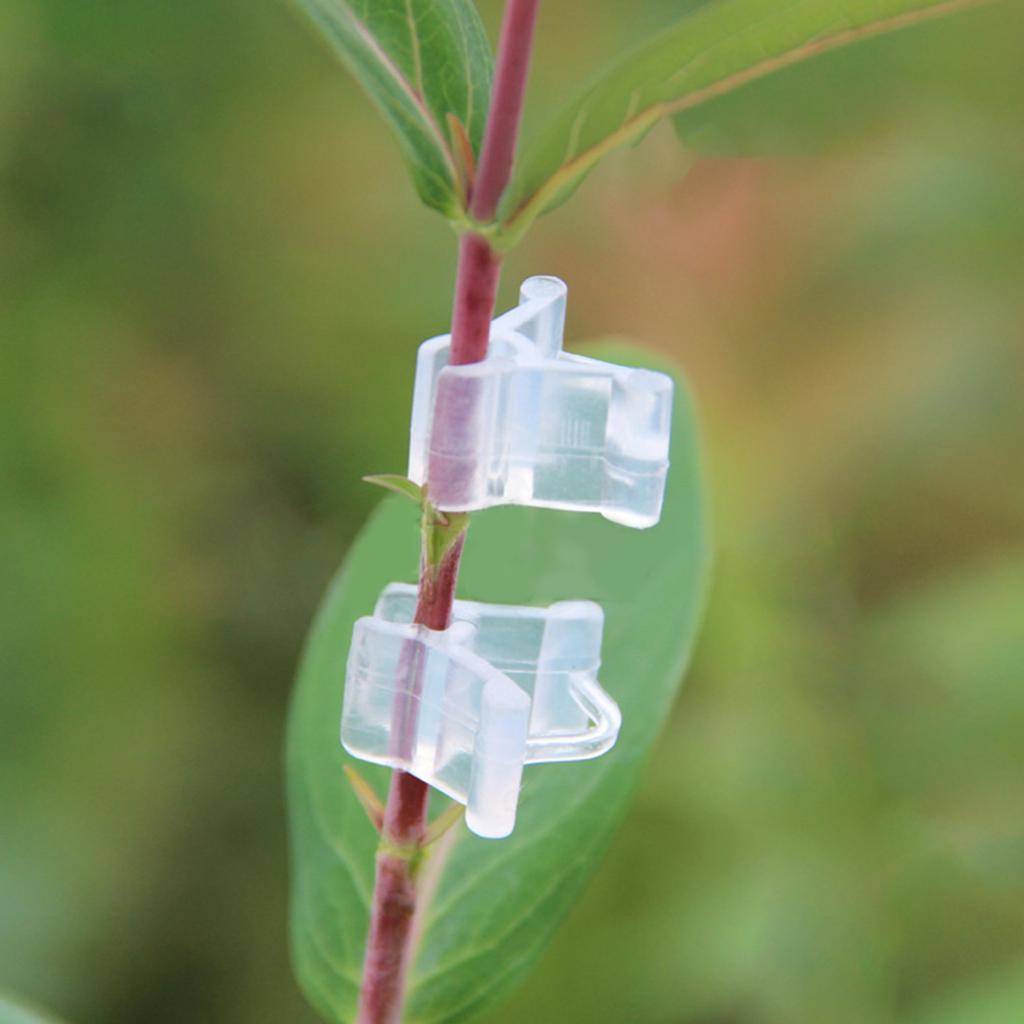 20 шт. Специальный зажим для прививки томатной рассады зажим для прививки баклажанов зажим для прививки рассады баклажанов