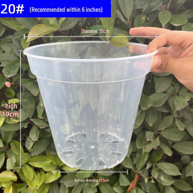Clear Plastic Orchid Pot: Sphagnum Moss, Square & Round Design for Phalaenopsis or Fish Tanks
