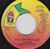 7inch Record HONEY COMB - Hail The Beginning NONE Flames 2000 Jamaica Reggae, Ska & Dub Used
