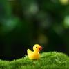 100pcs Mini Resin Duck Accessories Micro Ornaments