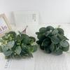 10pcs Direct Sales Simulated Eucalyptus Leaf Wedding Money Leaf Dining Table Flower Arrangement Artificial Eucalyptus Leaf Single Decorative