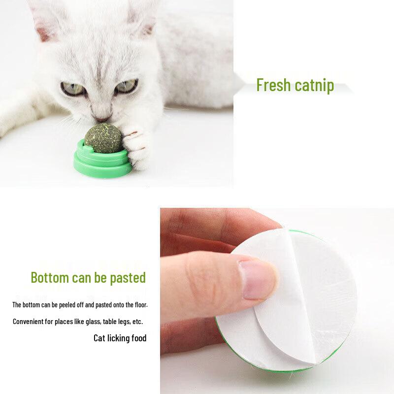 Rotating Catnip Ball Cat Toy