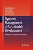 The Dynamic Management of Sustainable Development : Methods for Large Technical Systems Book