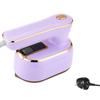 Household Handheld Steam Iron Garment Steamers Ironing Machine For Clothes 100ml