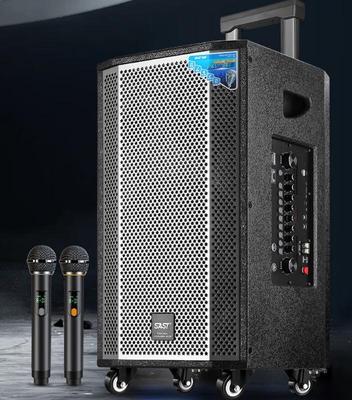 SAST SA-807 12-дюймовая уличная караоке-тележка Bluetooth-динамик CN-вилка (адаптер в комплекте)