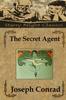 Книга The Secret Agent