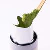 Ippodo Tea Co. - Ummon Matcha (20g) - For Usucha and Koicha - Rich & Robust - Kyoto Since 1717