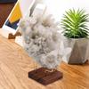 Metal Arm Home Decoraition For Crystal Minerals Display Holder Wood Support Base Rack Mineral Stand
