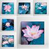 Розовый цветочный лотос и листья лотоса, фотографии, постеры и принты, холст, картина, настенная живопись, картина для гостиной, домашний декор