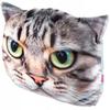 Pillow Pattern with Cat Print Mascot 30x45 Cm