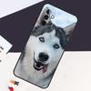 Siberian Husky Sled Dog Case For Samsung Galaxy A05 A06 A26 A16 A56 A36 A22 A32 A52 A54 A34 A14 A55 A15 A53 A33 A35