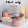 2025 Upgraded Anti Vomiting Cat Bowl Tilted Elevated Pet Food Dish Ergonomic Non-Slip Design for Cats Dogs Durable Slow Feeder