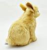 BH7022 HANSA Netherland Dwarf 21