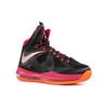 Nike LeBron 10 'Floridians' 541100-005