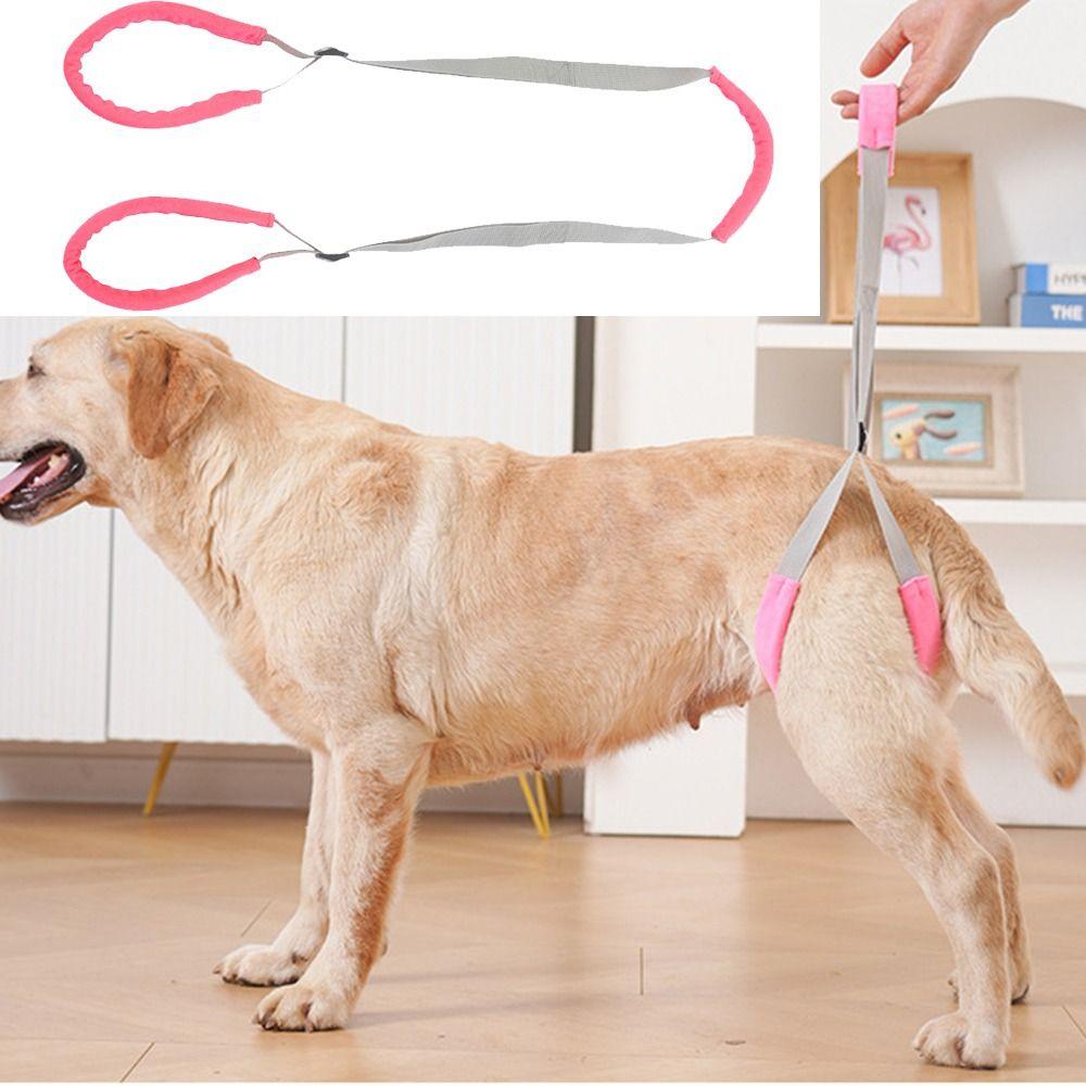 Soft Handle Pet Mobility Aid Adjustable Straps Dog Aid Sling Dog Lift Harness  Elderly Dogs