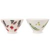 Fresh Art Rice Bowl Pear Hasami Ware Made In Japan J-kitchens Sho~ (Radish Bean)