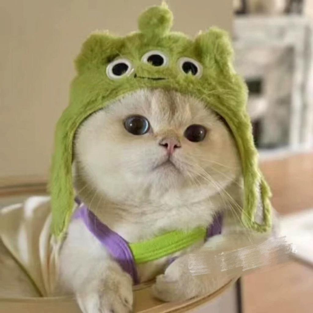 Украшение для питомца головной убор плюшевый щенок собака кошка милее чем медведь фото головной убор смешной