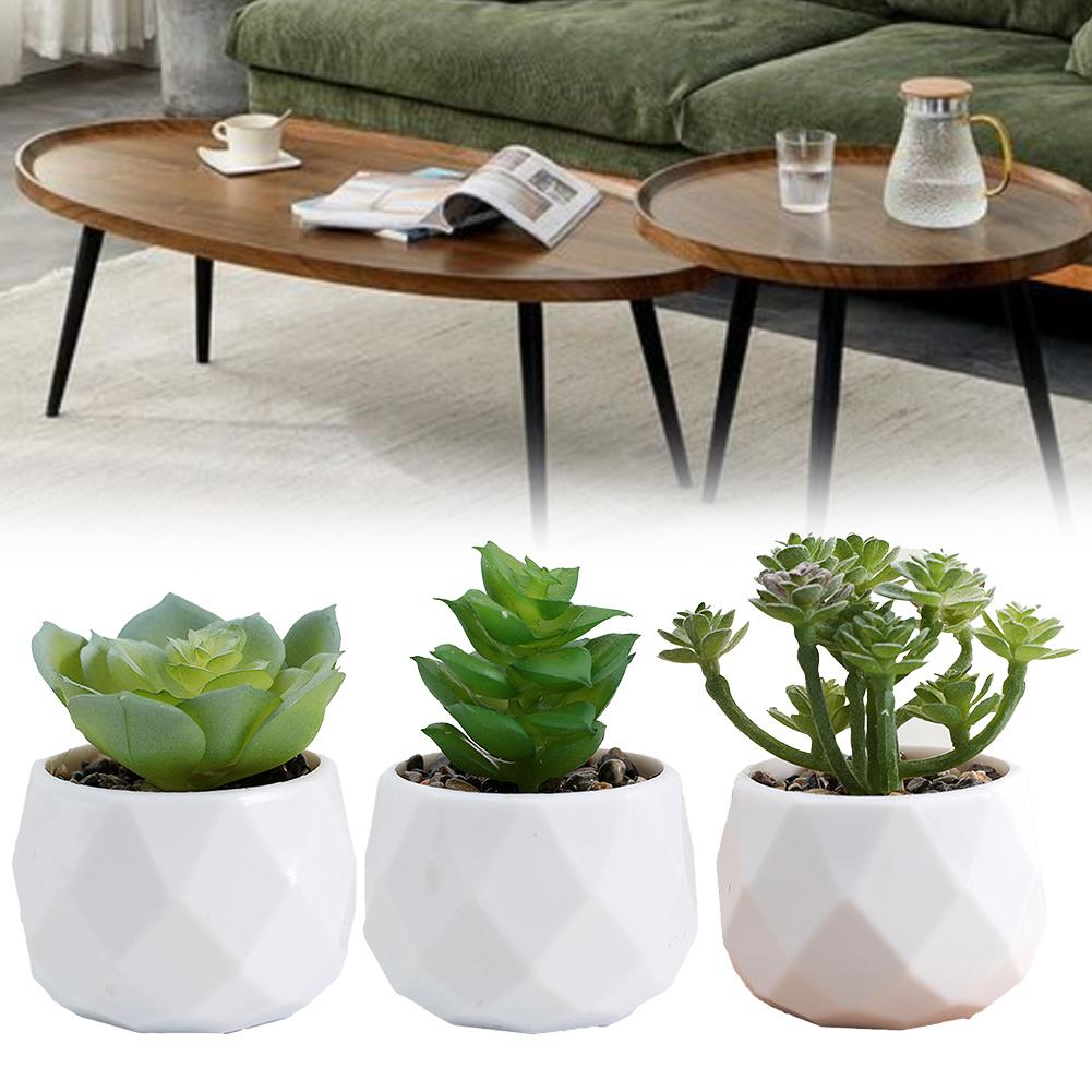 Искусственные суккуленты Декоративный цветочный горшок Элегантный дизайн
