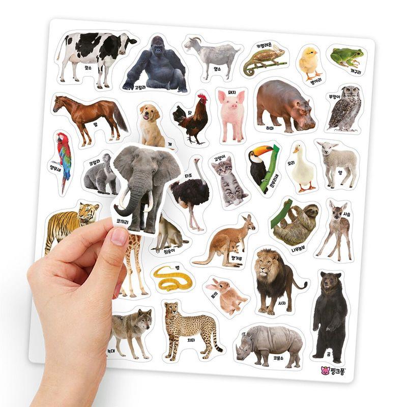 Набор книг со стикерами Pinkfong Bebefinn 6 шт.