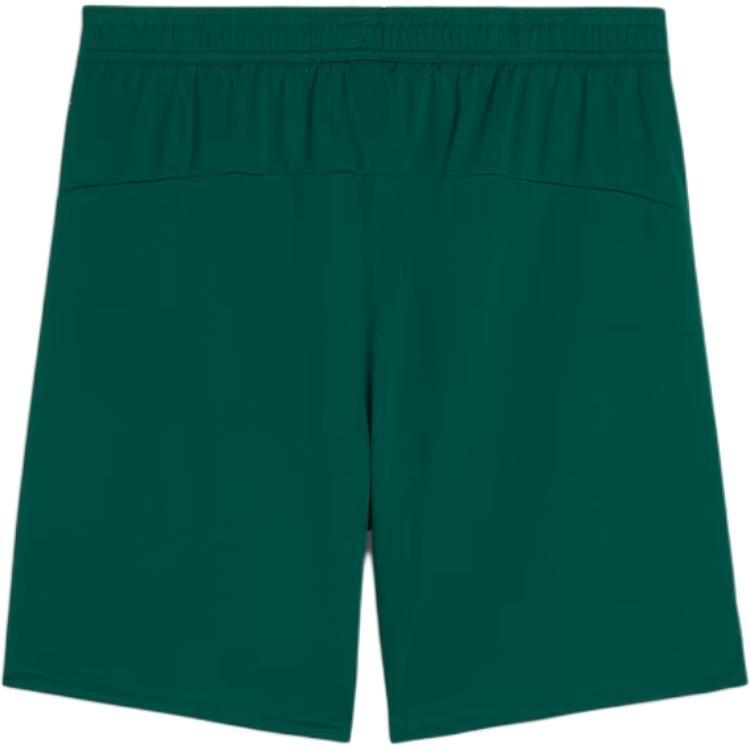 PUMA x FPF DRYCELLSHORTS Soccer Bottom Men's Green 779226-10