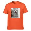 AAAAA STRESSSS Screaming Cat Funny Meme Loose Vintage Distressed Washed Casual Tee