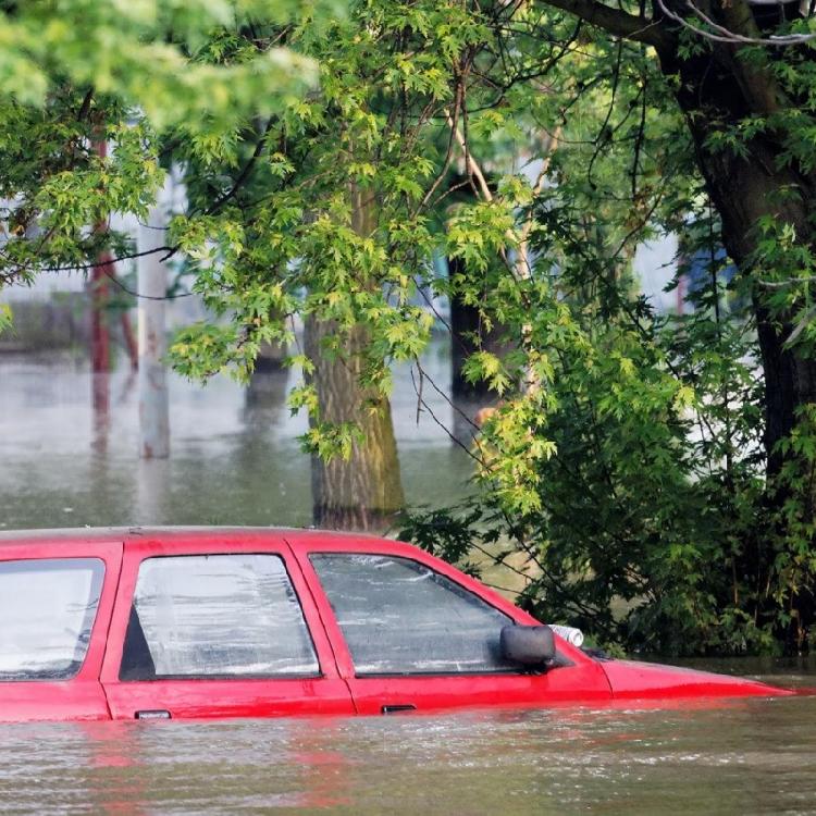 Car Emergency Hammer Window Breaker with Belt Cutter Rescuing Hammer Safety Hammer for Car Bus Glass Breaker Portable