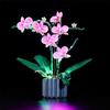 Orchid Building Kit LED Light Set Compatible for Lego 10311 Display Plant Decor for Home