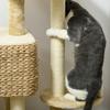 95cm Cat Tree Tower for Indoor Cats, with Scratching Post, Cat House, Toy Ball, Platform - Beige