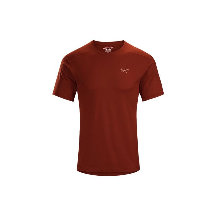Arcteryx REMIGE T-Shirts Men's Crew Neck Moderate 20987