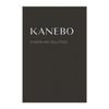 Kanebo Fusion Solution (Refill) [Beauty Serum]