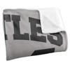 TMNT 84 Silky Supersoft Blanket