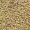 Parrot and Pigeon Bird Food - Single Piece Dropshipping Available