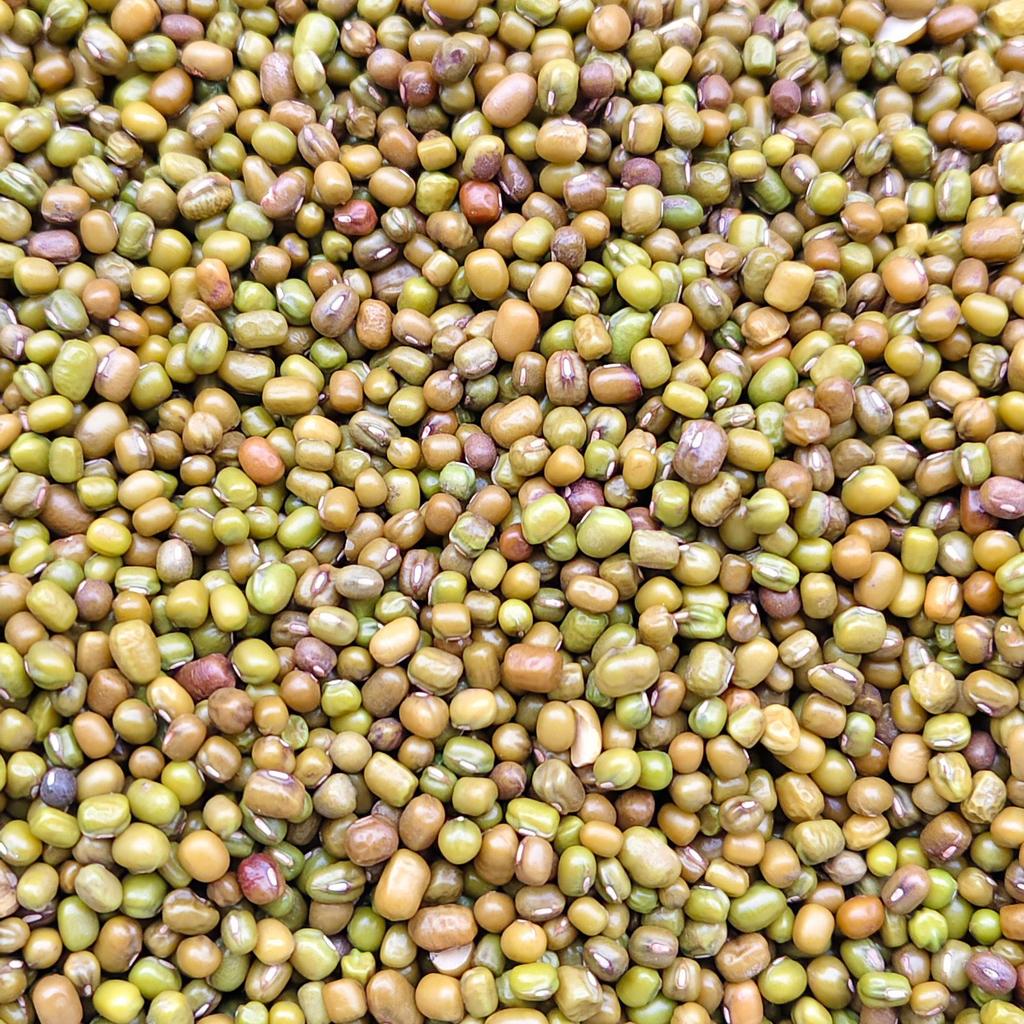 Parrot and Pigeon Bird Food - Single Piece Dropshipping Available
