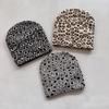 Узор Леопард Вязаная Шапка Бини Мода Тепло Шапка Для Повседневного Стиля Улица
