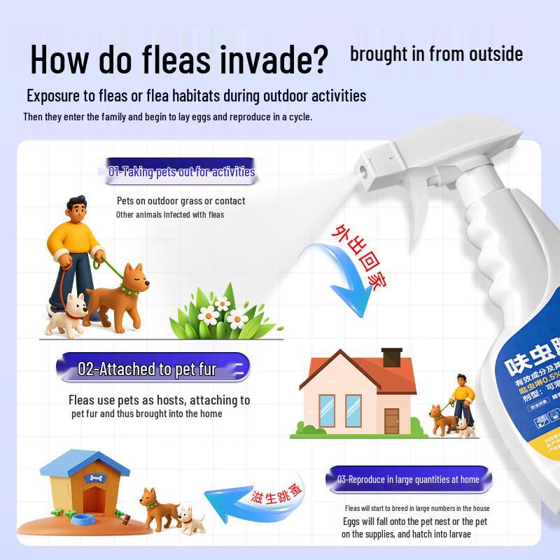 Flea & Bed Bug Killer Spray